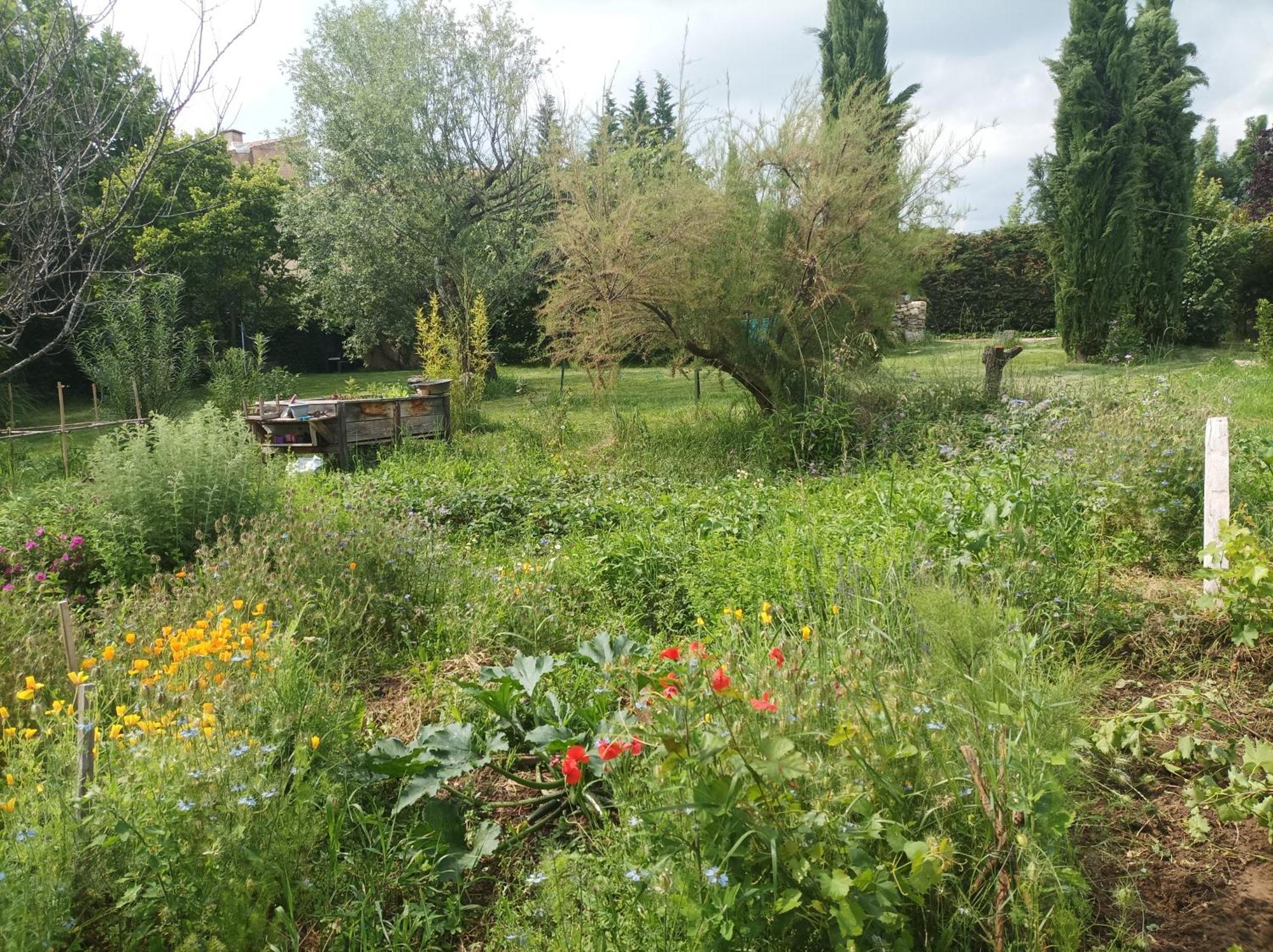 Bed and Breakfast Campagne De Pre Grand Saint-Etienne-les-Orgues Экстерьер фото
